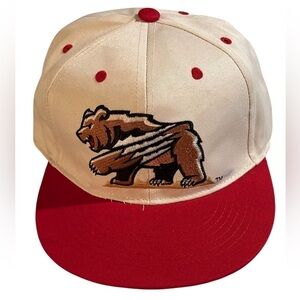A Fresno grizzlies promo SGA snapback cap